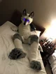 Tommy wolf fursuit
