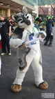 Jasper wolf Fursuit 