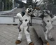 Jasper wolf Fursuit 