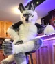 Tommy wolf fursuit