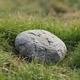 A rock