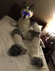 Tommy wolf Fursuit 