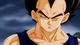 Vegeta 
