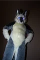 Tommy wolf fursuit