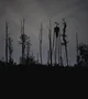 SIRENHEAD MOVIE RPG