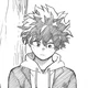 Izuku Midoriya