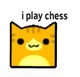 Swordgamer969_Chess_
