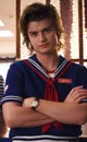 Steve Harrington 