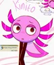 Kinito-KinitoPet