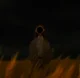Narami 