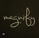 Magnify