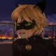 Chat Noir