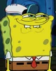Sponge bob