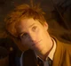 Newt Scamander