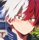 Shoto Todoroki 