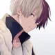 Shoto Todoroki