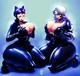 Black Cat-Catwoman 