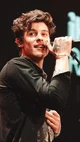 Shawn Mendes