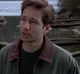 Fox Mulder
