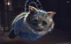 Cheshire cat