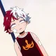 Toya todoroki