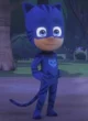 Catboy PJ MASKS