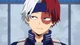 Shoto Todoroki 