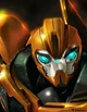Tfp Bumblebee 
