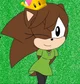 Sarah The Hedgehog 