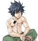 Gray Fullbuster
