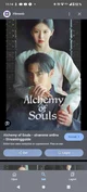 Alchemy of souls