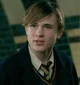 Peter Pevensie 