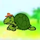 Shelly the Turtle
