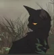 Crowfeather - WC
