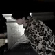 Taehyung 