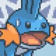 Mudkip