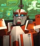Ratchet -TFP-