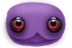Purple Pillbody