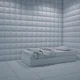 Insane room