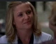 Arizona Robbins
