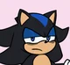 Shade The Hedgehog