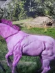 Pink horse