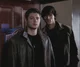 The Winchesters