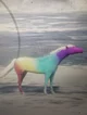 Rainbow horse