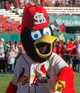 Fredbird