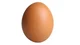 The Egg