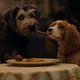 Lady And The Tramp 