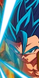 Gogeta vs Zeno