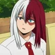 Todoroki Female