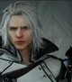 Ravus Nox Fleuret 